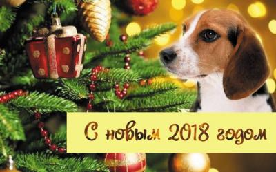 С новым 2018 годом